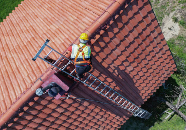 Best Roof Moss and Algae Removal  in Penn Valley, CA